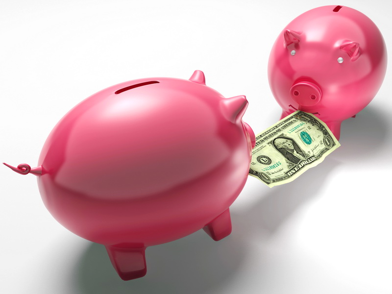 Intentional Economic Abuse Is Domestic Violence